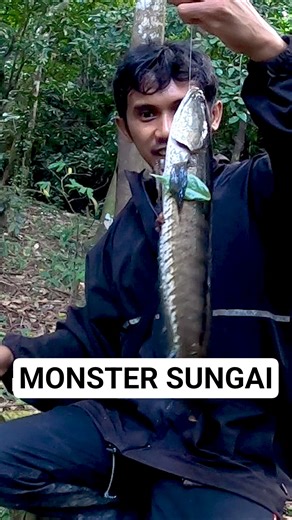 USE THIS BAIT 🎣 Tajur Fishing Strikes Large Predator Fish