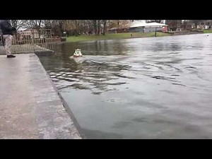 A Robbe Marauder having its first sail after being built 40 years ago !