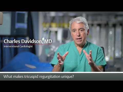 Edwards PASCAL Transcatheter Valve Repair System - Innovation in tricuspid repair