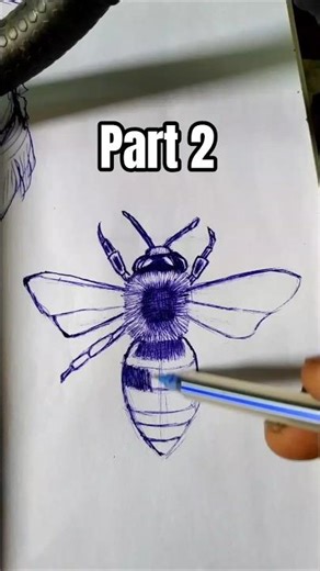 honey bee 🐝 #sketch#bee#shorts#ballpendrawing#drawing#penaketch#penart#ink