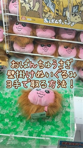 【クレーンゲーム】4/20 クレーンゲームでおぱんちゅうさぎのおぱサファリ 壁掛けオブジェ風ぬいぐるみを3手で取る方法、取り方のコツをお見せします！ #shorts