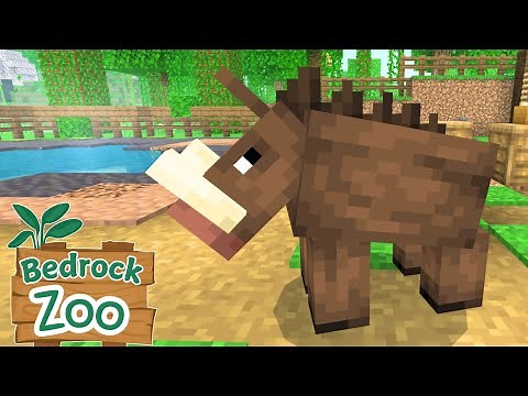 Starting a New Zoo 🐗 | Minecraft Bedrock Zoo with Add-Ons