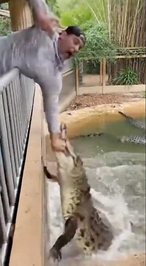 Croc LAUNCHES Out of the Water and Grabs His Arm — His Reaction Says EVERYTHING 😱🐊 #shorts #viral