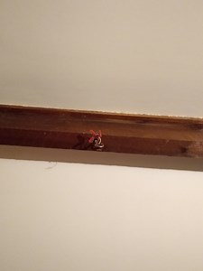 Help mounting ceiling fan to wood beam