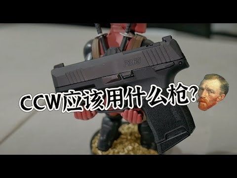 CCW隐藏携带用什么枪好呢？ #ccw #隐藏携带 #加州ccw