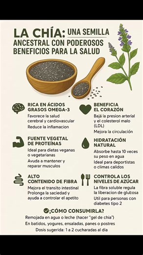 795K views · 2.8K reactions | La chía (Salvia hispanica) es una #semilla milenaria originaria de Mesoamérica, usada por culturas como la maya y azteca. Es conocida por ser una de las fuentes vegetales más completas en #nutrientes. @fans destacados | Viajeros Perú | Facebook