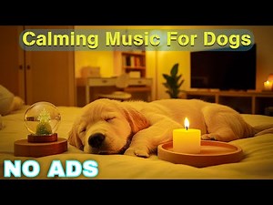 12 HOURS of Relaxing Music For Dogs💖🐶Anti Separation Anxiety Relief🐶Dog Calming Music🎵 No Ads
