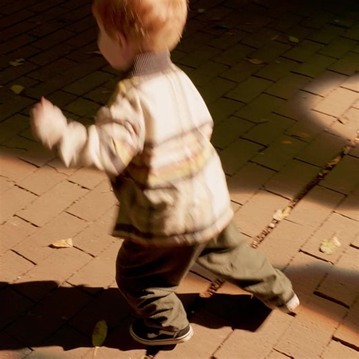 🦖🦕The dinosaurs are BACK at Adelaide Zoo! This is Universal Kingdom: The Next Era! Where Triceratops glow, Pterodactyls soar, and the earth shakes under the mighty T-rex! Tickets are roaring away, book now before they’re extinct. 🎟️👇 adelaidezoo.com.au/event/universalkingdom Brought to you by Adelaide Zoo, Illuminate Adelaide, and presenting partner SA Power Networks. | Adelaide Zoo