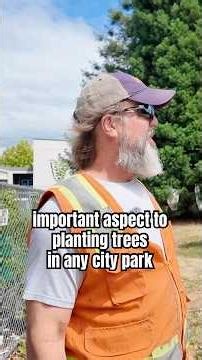 The Risk of Planting the Same Exact Tree in City Parks