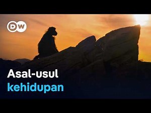 Sejarah evolusi Bumi: Mengisahkan kembali asal usul terbentuknya planet kita | DW Dokumenter