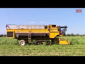 LIMA BEAN HARVEST | OXBO 6156 Combine