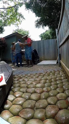 How to Build a $30 DIY Walkway ⚒️😯