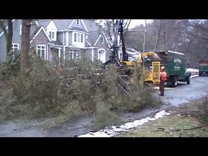Marquis Tree Service Trying a New Woodsmen Chipper