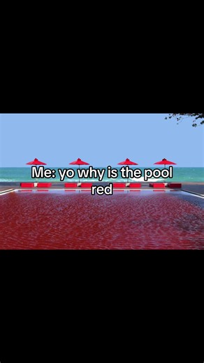 Understanding the Mystery of the Red Pool