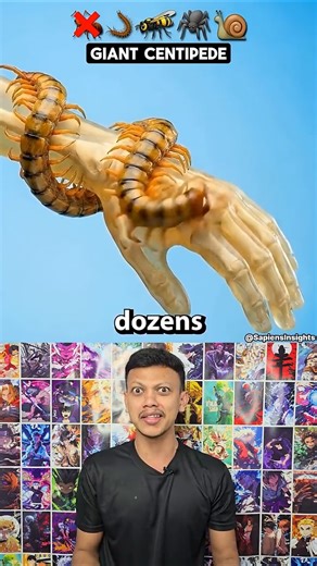 Which Insect Can Kill You With One Bite? 😱