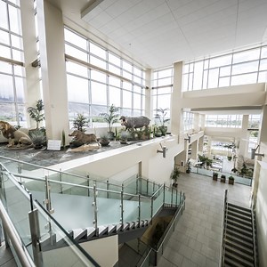 Buildings and Resources