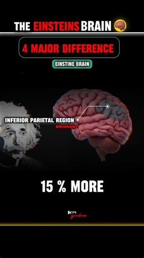 Why You Are Not Einstein 😂 ‪@ProfessorOfHow‬ ‪@dhruvrathee‬ ‪@FactsMine‬ ‪@FactoHolic‬