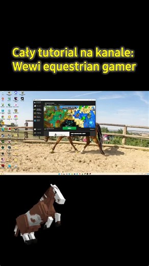 Jak zainstalować mod SWEM w Minecraft