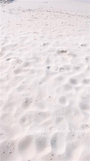 ⛱️ Tuerredda Beach 🤍🤽 una delle spiagge più belle della Sardegna! ✔️ Sabbia bianca finissima ✔️ Mare cristallino e trasparente ✔️ Ideale per snorkeling, relax e foto mozzafiato 📍 Teulada (SU), facilmente raggiungibile in auto lungo la strada panoramica per Chia. 🎥👉@lagunablu_sardegna - - 😍 S𝗲 t𝗶 𝗽𝗶𝗮𝗰𝗲 𝗰𝗶ò 𝗰𝗵𝗲 𝗽𝘂𝗯𝗯𝗹𝗶𝗰𝗵𝗶𝗮𝗺𝗼, 𝗽𝗲𝗿 𝗳𝗮𝘃𝗼𝗿𝗲 𝗺𝗲𝘁𝘁i "𝗠𝗶 𝗣𝗶𝗮𝗰𝗲" 𝗲 𝗶𝘀𝗰𝗿𝗶𝘃i𝘁i 𝗮𝗹𝗹𝗮 𝗽𝗮𝗴𝗶𝗻𝗮. 𝗚𝗿𝗮𝘇𝗶𝗲! ​🙏👉 Sardegna l'isola delle meraviglie 