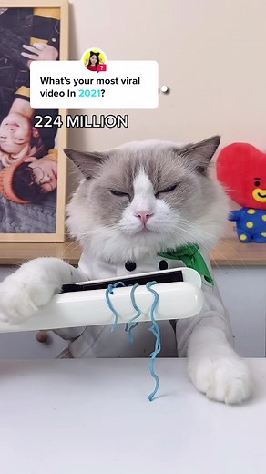 2021 Viral Videos Compilation on TikTok