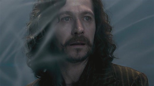 La Muerte de Sirius Black #siriusblack #harrypotter #marauder #Hogwarts | El Caballero Caminante
