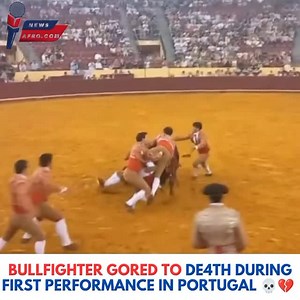 Tragedy struck in Lisbon as 22-year-old bullfighter Manuel Maria Trindade was fatally gored by a 1,500-pound bull during his debut at the Campo Pequeno bullring before nearly 7,000 spectators. Despite quick intervention, Trindade suffered traumatic injuries and later died in hospital. A 73-year-old surgeon in the audience also collapsed and passed away soon after. The incident has reignited debates in Portugal about banning bullfighting, which, unlike in Spain, is usually a bloodless sport. #New
