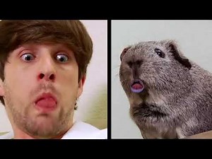 CLASSIC SMOSH COMPILATION 1 HOUR #1