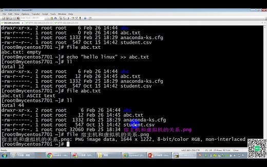 Linux操作系统----Linux命令详解（touch，file）