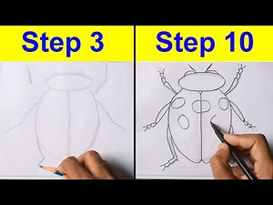 Quick Ladybug Drawing Tutorial: Pencil & Sketch Pen