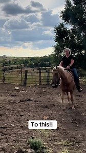 641K views · 4K reactions | It is amazing to see the progress. We are working on riding in a lope.. I have to hold on. I can't wait to see the progress! How long do you think it will take me? #farming #ranching #beef | femalefarmerrancher | Facebook