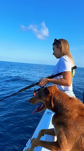 Strike! 🎳 See what happens when Cat & Gil drop the 5" Turbo Shrimp in colour Scooby down to the reef for the first time 🔥 #YourFishOurScience #BerkleyFishingAus #Gulp #TurboShrimp | Berkley Fishing