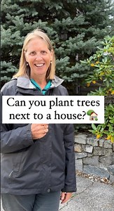68K views · 363 reactions | Planning on planting a tree near your...