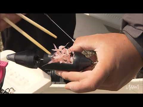 アポロ 遠投かご釣り