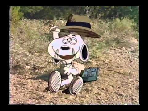 Its the Girl In the Red Truck, Charlie Brown