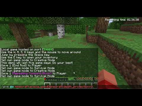 How To Turn Any Items Into Totems (Java)