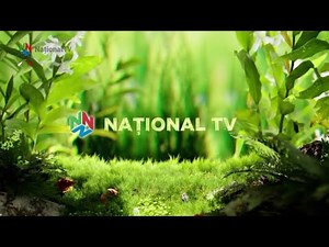 Național TV - Ident-uri de Primăvară - 03/2023