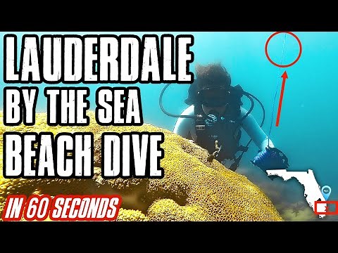 How to scuba dive Lauderdale by the Sea | Shore Diving | Everything you need to know in one minute.