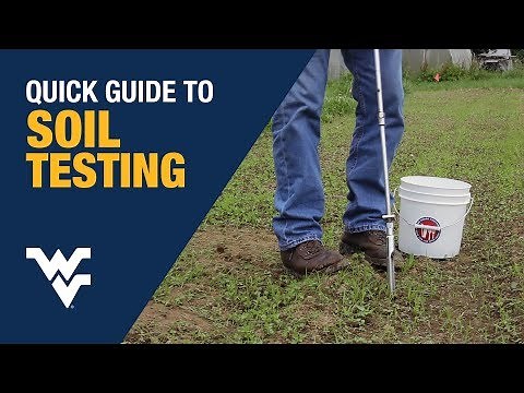 Quick Guide to Soil Testing with WVU Extension Specialist Tom Basden