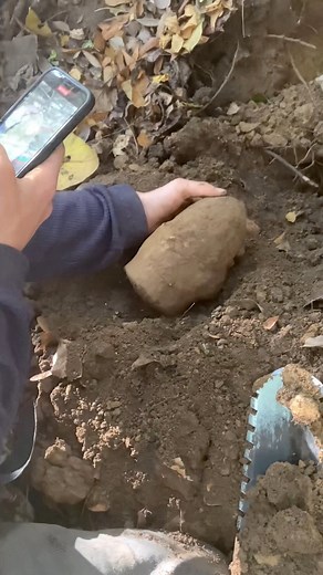 172K views · 4.2K reactions | We went metal detecting in the woods and found some amazing things buried in the ground! #metaldetecting | NCDiggins | Facebook