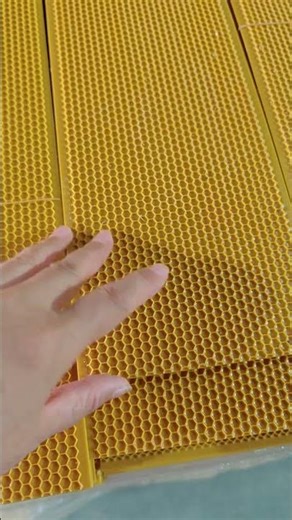 Plastic foundation for Langstroth super frame