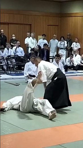 両肩持ち自由技 #aikido #合気道 #martialarts