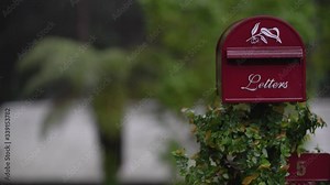 A red mail box with creeping plants and a big palm-like firn tree in the background in the rain. White smoke goes out of a house chimney.