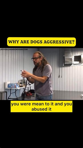 This is a question I get asked often at my seminars and on my podcast. “Why are dogs aggressive?” I believe that it’s as simple as they were never told not to be at the very first sign of it. Imagine your 13 week old puppy is resource guarding a bone, nipping at your hands, feet, etc...it’s easy enough to ignore at that age because “it’s just a puppy” and so much false information is being spread to new dog owners who just don’t know any better. They’re being told to redirect a nipping dog, (whi