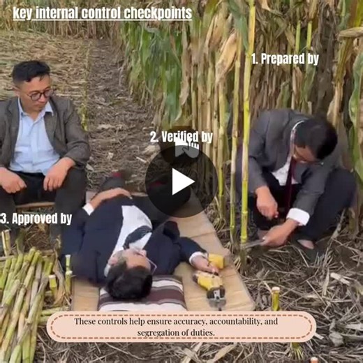 Segregation of Duties Boosts Governance and Risk Management | Gohar Ali, FCCA posted on the topic | LinkedIn