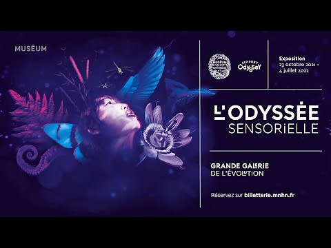 Teaser de l'exposition "L'Odyssée sensorielle"