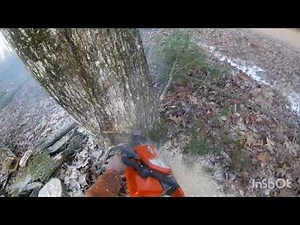 NEOTEC NS846 STIHL MS250 025 CLONE CHAINSAW SLOWLY BREAKING IN