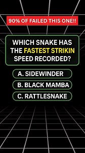 Which snake has the fastest striking speed recorded? 🤯 #quiz #QuizTime #fun #noblequiz #fblifestyle | Quiz Flare