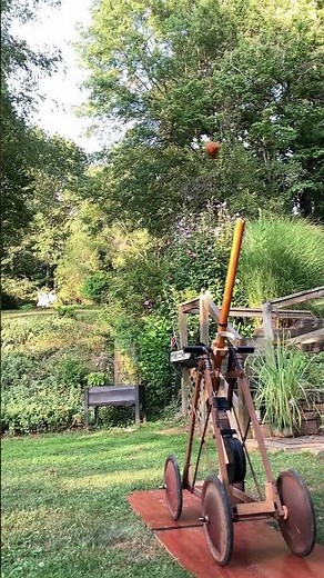 Whipper Trebuchet shot