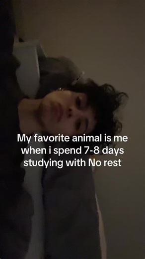 فيديوهات أنشأها bip (@emieieidi) باستخدام original sound - STEENO