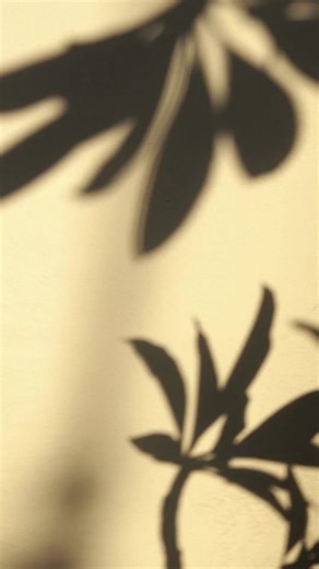 Những bài nhạc USUK hay để đăng story